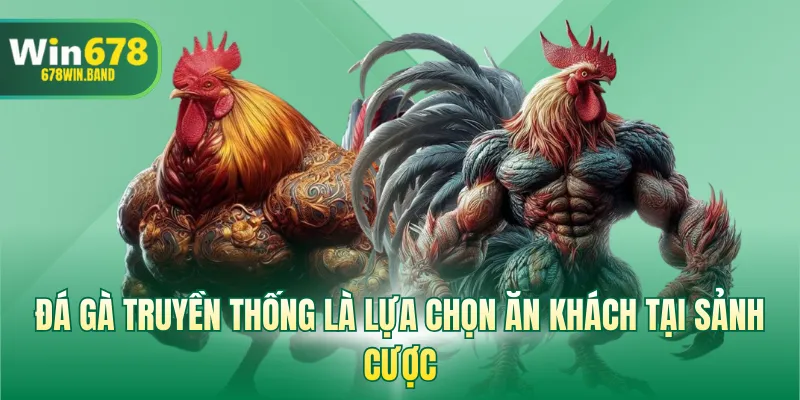 Đá gà truyền thống là lựa chọn ăn khách tại sảnh cược